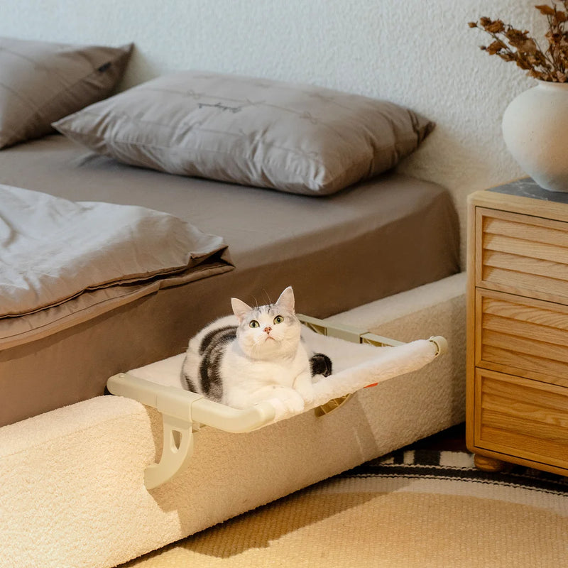 BED CAT FLOTANTE + REGALO