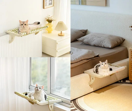 BED CAT FLOTANTE + REGALO