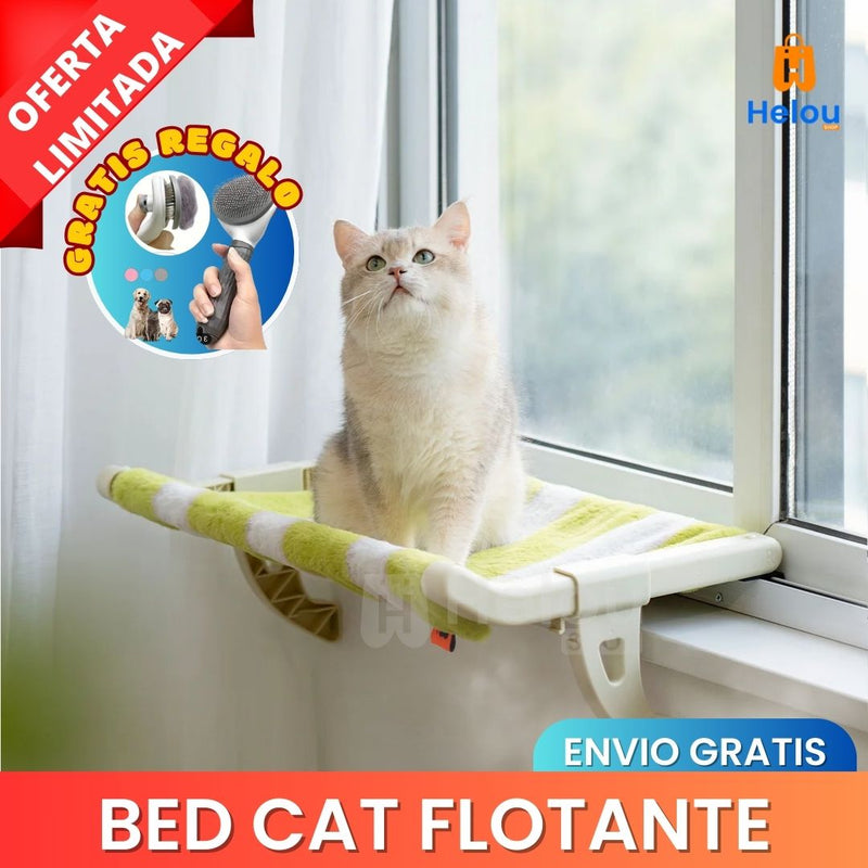 BED CAT FLOTANTE + REGALO